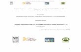 Proyecto: INTEGRACIÓN APÍCOLA EN EJIDOS …ppd.org.mx/tts/up/documentos/bd1360-1er-Talleres... · Bromeliaceae Ananas communia Piña Hierba Burseraceae Bursera simaruba (L.) Sarg.