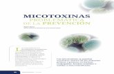 MICOTOXINAS - Información de nutrición y … especies animales más sensibles a la acción de las micotoxinas son los cerdos y las aves de corral, siendo atribuible esta sensibilidad