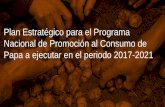 Plan Estratégico para el Programa Nacional de …fedepapa.com/wp-content/uploads/2017/01/ANEXO-1.pdf · la formalización del sector y a su vez tecnificar y dignificar la labor (jornaleros,