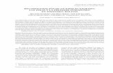 RECONFIGURACIÓN DE UN ESPACIO SAGRADO: … · Reconfiguración de un Espacio Sagrado: Los Inkas y la Pirámide PumapunkuVolumen 36, Nº 2, 2004. Páginas 337-350 en Tiwanaku, Bolivia