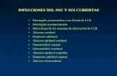 INFECCIONES DEL SNC Y SUS CUBIERTAS - ucm.es Infecciones del SNC y... · Factores que afectan a la ... leucocitosis moderada en sangre, elevación de la velocidad de ... - El diagnóstico
