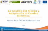La Gestión del Riesgo y Adaptación al Cambio Climático · La Gestión del Riesgo y Adaptación al Cambio Climático: Apoyo de la FAO en América Latina ... GESTION DEL RIESGO AGROCLIMÁTICO