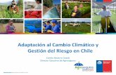 Adaptación al Cambio Climático y Gestión del Riesgo … · AGROSEGUROS MINISTERIO DE AGRICULTURA Adaptación al Cambio Climático y Gestión del Riesgo en Chile Camilo Navarro