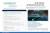 PERú PRODUCE - sni.org.pe · equipos terminales fijos y móviles que permita al usuario evaluar con parámetros uniformes y de forma inmediata la velocidad efectiva subida y ...