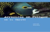 Arrecifes en Peligro - wri.org · Derechos de reproducción ... Impreso en los Estados Unidos de América sobre papel ... titud de plantas y animales únicos. La mayoría de los países