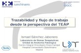 Trazabilidad y flujo de trabajo desde la perspectiva del … · Trazabilidad y flujo de trabajo desde la perspectiva del TEAP Laboratorio de Dianas Terapéuticas Unidad de Anatomía