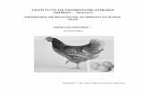 INSTITUTO DE PROMOCIÓN HUMANA INPRHU – …inprhusomoto.org/wp-content/uploads/2017/01/INPRHU-SOMOTO... · población consuma carne , huevos y otros derivados de las aves mejorando