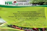 Recomendaciones para el manejo del chinche …bioquirama.com/pdf/Monalonion.pdf · Plaga de importancia económica en el culvo de Aguacate Persea americana. ... de la producción