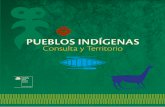pueblos indÍgenas Consulta y Territorio - … · relacionan directa o indirectamente con los pueblos indígenas y busca apoyar la planificación territorial y el desarrollo ... historias