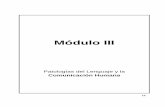 Módulo III - cursos.iplacex.clcursos.iplacex.cl/PERFECCIONAMIENTO/Post 002/L2/M3.pdf · torno a los trastornos del lenguaje y la comunicación, qué se entenderá por trastornos