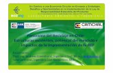 Panorama del Reciclaje en Chile ... - chile.ahk.de · Panorama del Reciclaje en Chile: Estructuras existentes, potencial del mercado e impactos de la implementación de la REP Expositores: