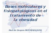 Bases moleculares y fisiopatológicas en el tratamiento de ...€¦ · la obesidad Red de Grupos RGTO(G03/028) Para la Investigación supuso un Cambio de Mentalidad la organización