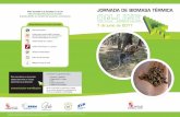 Para acceder a la jornada ir a la url JORNADA DE … · 11:05 El Plan de la Bioenergía de Castilla y León. (PBCyL). Situación actual y oportunidades para la biomasa térmica. Maria