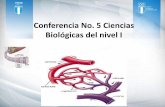 Conferencia No. 5 Ciencias Biológicas del nivel Ientrenadormovil.cog.org.gt/sites/default/files/documentos/academia... · epitelial con función secretora y de absorción. tiene
