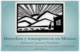 Derechos y transgénicos en Méxicoredendefensadelmaiz.net/wp-content/uploads/2016/08/...Los productos transgénicos han invadido México sobre la base de un complejo entramado normativo