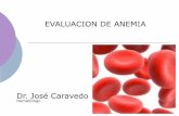 Dr. José Caravedo - SOCIEDAD PERUANA DE …sph-peru.org/wp-content/uploads/2016/01/EVALUACION-DE-ANEMIA.pdf · - Estudio de lámina periférica - Dosaje de creatinina . Evaluación