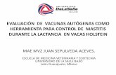 EVALUACIÓN DE VACUNAS AUTÓGENAS COMO …bovinosvirtual.com/wp-content/uploads/2012/11/AUTOVACUNAS... · Inmunización contra los principales agentes etiológicos . TODOS LOS PUNTOS