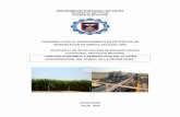 UNIVERSIDAD NACIONAL DE PIURA Facultad de … · establecimiento del proyecto de desarrollo productivo de agroindustria de caña para la generación de etanol anhidro. ... se apoya