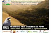 PROYECTO KEW GARDENS EN PERÚ - unesco.org · conservación y restauración de hábitats en Ica. Combinando estudios de campo con ecología histórica, ... arqueobotánica, entrevistas,