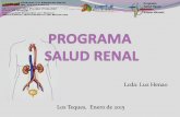 Lcda: Luz Henao Los Teques, Enero de 2015 · Establecer la presencia de ERC en base la presencia de daño renal y al nivel de función renal independientemente del diagnóstico Recomendar