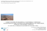 CONECTIVIDADES DE DESARROLLO SOSTENIBLE Y SERVICIOS ECOSISTEMICOS COMO CRITERIOS DE ... · 2011-03-22 · Universidad Politécnica de Cataluña, ... desde la escala humana, a los