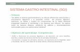 SGI-2014-II -2DA CLASE [Modo de compatibilidad] · Alteración en la barrera intestinal , con el consiguiente incremento en la permeabilidad intestinal a las bacterias. • Son necesarios