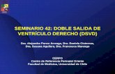 SEMINARIO 42: DOBLE SALIDA DE VENTRÍCULO DERECHO …cerpo.cl/_items/File_002_00564_0010.pdf · 2016-08-08 · salen del ventrículo morfológicamente derecho. ... • Dependerá