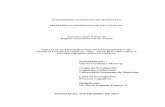 UNIVERSIDAD AUTÓNOMA DE MANIZALES MAESTRIA EN ENSEÑANZA DE ...repositorio.autonoma.edu.co/jspui/bitstream/11182/260/1/TESIS.pdf · Comprensión del Pensamiento de los ... labores
