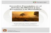 2009 Incendios Forestales - sma.edomex.gob.mxsma.edomex.gob.mx/sites/sma.edomex.gob.mx/files/files/sma_pdf... · Dirección General de Prevención y Control de la Contaminación Atmosférica