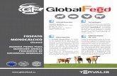 FOSFATO MONOCÁLCICO - globalfeed.esglobalfeed.es/images/fichas/2017/folleto_globalfeed_mcp_grano_es... · te de fósforo en la fabricación de piensos y correctores de nutrición