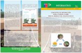 CONCEPTOS DE INTERACCIÓN SUELO-PLANTA …agriculturers.com/wp-content/uploads/2017/08/Informativo-89-INIA... · Mediante estos indicadores es posible determinar la capacidad de almacenamiento