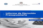 Ministerio de Hacienda Dirección General de Presupuesto · Dirección General de Presupuesto Ministerio de Hacienda República Dominicana Informe de Ejecución Presupuestaria Enero