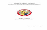 UNIVERSIDAD DE SONORA - uson.mx · prevalecido en la disciplina 32 8. Métodos y técnicas más empleadas por las disciplinas para la ... Nivel de dominio de un segundo idioma 56