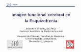 Imagen funcional cerebral en la esquizofrenia - Pages - …nucleus.iaea.org/HHW/NuclearMedicine/Neurology/Lectures/Imagen_fu... · Logo Imagen funcional cerebral en la Esquizofrenia