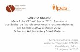 Presentación de PowerPoint - UNAM, Méxicocatedraunescodh.unam.mx/catedra/cedaw/Ponencias/12junio/Silvia... · saludables: comunicación con los padres y madres, incidencia legislativa,