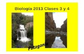 Biología 2013 Clases 3 y 4 - Blog de Biologia de la UNRN · Características de los seres vivos: organización y complejidad, metabolismo, homeostasis, irritabilidad, reproducción