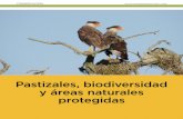 Pastizales, biodiversidad y áreas naturales protegidasargentinambiental.com/wp-content/uploads/pdf/AA57-68-Pastizales... · Las zonas de pastizales pampeanos de la Argentina a los