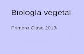 Biología vegetal - ecaths1.s3.amazonaws.comecaths1.s3.amazonaws.com/catbioveg/24921419.1ra clase 2013... · programa de biologia vegetal 1. generalidades 2. caracteres citologicos