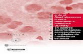 Staphylococcus aureus - osakidetza.euskadi.eus · Guía de actuación ante el Staphylococcus aureus resistente a meticilina (SARM) en centros gerontológicos, sociosanitarios y unidades