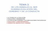 TEMA 3: DE LOS ANIMALES AL SER … · EVOLUCIÓN Y COMPORTAMIENTO ... APRENDIZAJE. 4. EVOLUCIÓN Y COMPORTAMIENTO ... Conductas más complejas y elaboradas que los reflejos que se