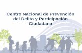 Centro Nacional de Prevención del Delito y Participación ...policiaestatalacreditable.gob.mx/work/models/SecretariadoEjecutivo/... · Prevención Social de laViolencia y Delincuencia