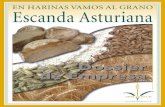 EN HARINAS VAMOS AL GRANO Escanda Asturiana · más grasa, un contenido mineral más alto y más ... Cualquiera que haya probado el T. Espelta, podrá decir que es mucho más sabroso
