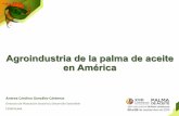 Agroindustria de la palma de aceite en Américaweb.fedepalma.org/sites/default/files/files/3... · impacto)ambiental) • LapalmaPene) ... aceites)y)grasas)anivel)mundial) ... impacto)de)lavolalidad