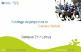 Chihuahua - tec.mx · Centro de Estudio para Invidentes A.C. Adquisición de herramientas para que las personas ciegas y débiles visuales se desarrollen y participen activamente