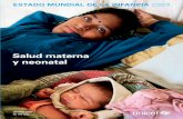 Salud materna y neonatal - UNICEF · natal de emergencia, y visitas postnatales para las madres y los recién nacidos– ofrecidas mediante un continuo de la atención que relacione