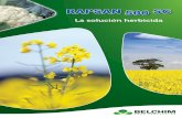 La solución herbicida - Iniciobelchim.es/pdf/Leaflet/Rapsan_LEAFLET.pdf · El herbicida básico en los cultivos ... Amor del hortelano Manzanilla fina Amapola Polígono Verdolaga