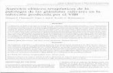 Aspectos clínicos-terapéuticos de la patología de las ...diposit.ub.edu/dspace/bitstream/2445/67640/1/520850.pdf · Malagón S, Chimenos E, López J, Jané E, Roselló X, Mohammad