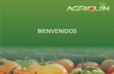 BIENVENIDOS - redinnovagro.in · Prácticas Agrícolas en la producción de tomate, ... •ADOPCIÓN DE BPA SENA ASOHOFRUCOL. •INVESTIGACIÓN EN FERITILIZACIÓN ORGÁNICA UNIVERSIDAD