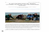 EL HALCÓN MÁS RARO DEL MUNDO: LA FORMA … · 100 AECCA /ANUARIO 2010 y científicos (halcón de Kleinschmidt, halcón de Tierra del Fuego, F. peregrinus kreyenborgi, F. kreyenborgi).