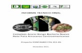 INFORME TECNICO FINAL - fontagro.org · INFORME TECNICO FINAL ... comerciales de arroz con tolerancia a las principales plagas y enfermedades de Panamá, ... disminución de los costos